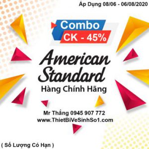 Combo American Standard AE3